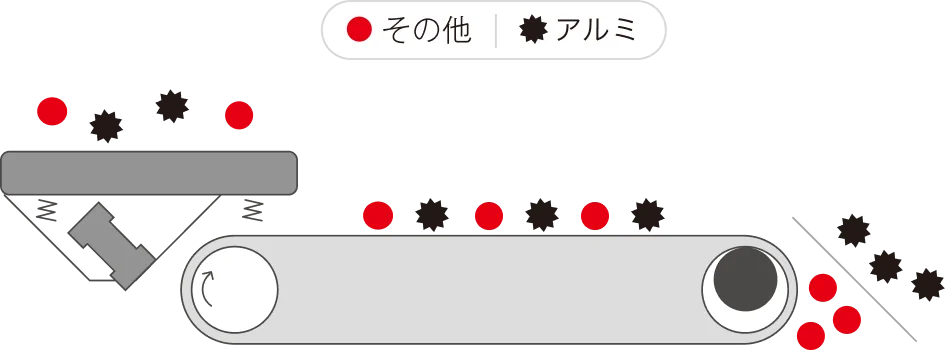 特徴イラスト